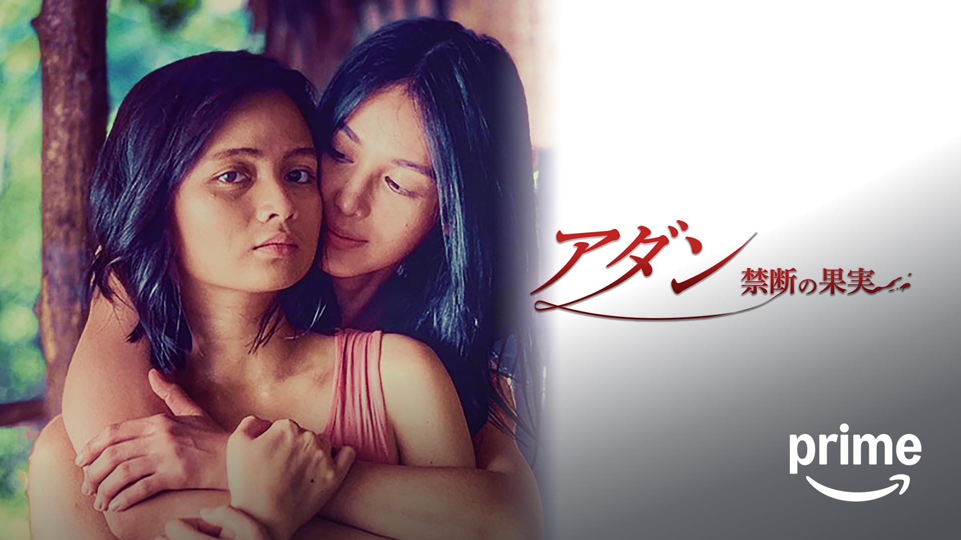 Amazon.co.jp: 快楽の漸進的横滑り(字幕版)を観る | Prime Video